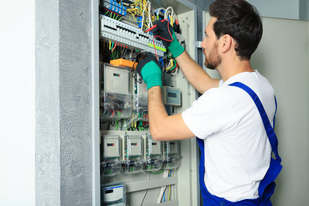 Best Electric Panel Repair  in Ferris, TX